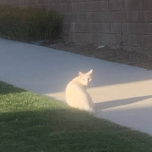 Meet your Posher, Isla